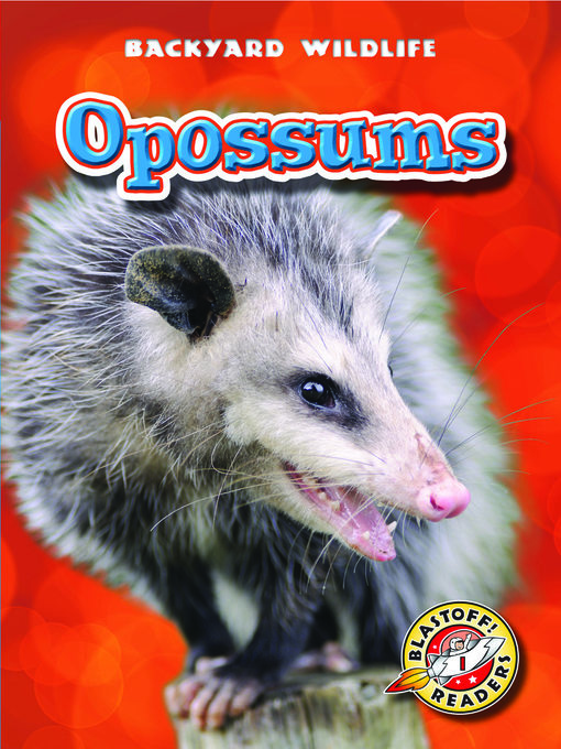 Title details for Opossums by Dana Fleming - Wait list